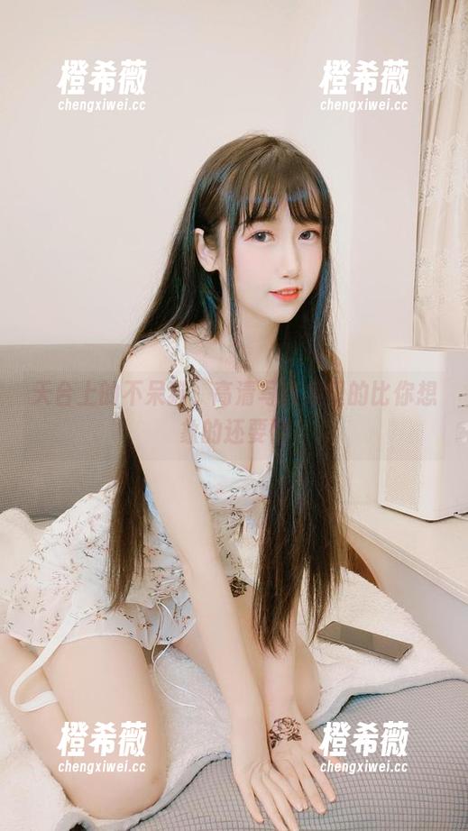 不呆猫 天台上的不呆猫,高清写真集里的比你想象的还要懒