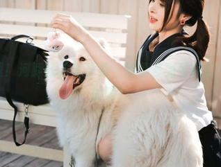 极速下载！河豚抚子写真集，剧情多到可以打个十分钟的嗝！