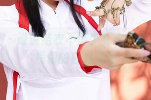 蜜桃社 – 谁说结衣不懂少女心？合集里找找你的白月光吧